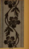 Picture 45 of 170 from The American domestic cyclopædia, a volume of universal ready reference for American women in American homes (1890), leaf 96
