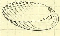 Picture 16 of 70 from The American drawing-book : a manual for the amateur, and basis of study for the professional artist : especially adapted to the use of public and private schools, as well as home instruction (1847), leaf 26
