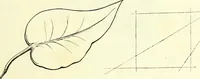 Picture 23 of 70 from The American drawing-book : a manual for the amateur, and basis of study for the professional artist : especially adapted to the use of public and private schools, as well as home instruction (1847), leaf 30