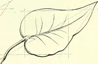 Picture 24 of 70 from The American drawing-book : a manual for the amateur, and basis of study for the professional artist : especially adapted to the use of public and private schools, as well as home instruction (1847), leaf 30