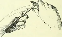 Picture 29 of 70 from The American drawing-book : a manual for the amateur, and basis of study for the professional artist : especially adapted to the use of public and private schools, as well as home instruction (1847), leaf 35