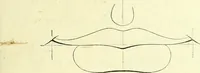 Picture 34 of 70 from The American drawing-book : a manual for the amateur, and basis of study for the professional artist : especially adapted to the use of public and private schools, as well as home instruction (1847), leaf 40