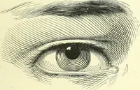 Picture 36 of 70 from The American drawing-book : a manual for the amateur, and basis of study for the professional artist : especially adapted to the use of public and private schools, as well as home instruction (1847), leaf 42