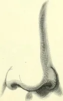 Picture 38 of 70 from The American drawing-book : a manual for the amateur, and basis of study for the professional artist : especially adapted to the use of public and private schools, as well as home instruction (1847), leaf 42