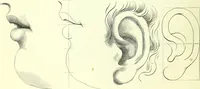 Picture 41 of 70 from The American drawing-book : a manual for the amateur, and basis of study for the professional artist : especially adapted to the use of public and private schools, as well as home instruction (1847), leaf 43