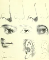 An illustration from The American drawing-book : a manual for the amateur, and basis of study for the professional artist : especially adapted to the use of public and private schools, as well as home instruction (1847)