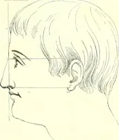 An illustration from The American drawing-book : a manual for the amateur, and basis of study for the professional artist : especially adapted to the use of public and private schools, as well as home instruction (1847)