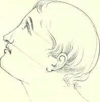 An illustration from The American drawing-book : a manual for the amateur, and basis of study for the professional artist : especially adapted to the use of public and private schools, as well as home instruction (1847)