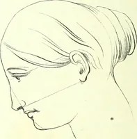 An illustration from The American drawing-book : a manual for the amateur, and basis of study for the professional artist : especially adapted to the use of public and private schools, as well as home instruction (1847)