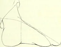 An illustration from The American drawing-book : a manual for the amateur, and basis of study for the professional artist : especially adapted to the use of public and private schools, as well as home instruction (1847)