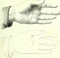 An illustration from The American drawing-book : a manual for the amateur, and basis of study for the professional artist : especially adapted to the use of public and private schools, as well as home instruction (1847)
