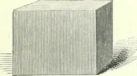 An illustration from The American drawing-book : a manual for the amateur, and basis of study for the professional artist : especially adapted to the use of public and private schools, as well as home instruction (1847)