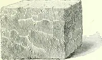 An illustration from The American drawing-book : a manual for the amateur, and basis of study for the professional artist : especially adapted to the use of public and private schools, as well as home instruction (1847)