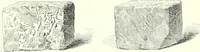 An illustration from The American drawing-book : a manual for the amateur, and basis of study for the professional artist : especially adapted to the use of public and private schools, as well as home instruction (1847)