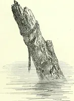 An illustration from The American drawing-book : a manual for the amateur, and basis of study for the professional artist : especially adapted to the use of public and private schools, as well as home instruction (1847)