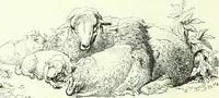 An illustration from The American drawing-book : a manual for the amateur, and basis of study for the professional artist : especially adapted to the use of public and private schools, as well as home instruction (1847)