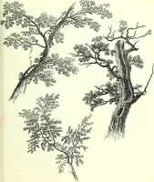 An illustration from The American drawing-book : a manual for the amateur, and basis of study for the professional artist : especially adapted to the use of public and private schools, as well as home instruction (1847)
