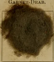 Picture 3 of 26 from The American dyer, (enlarged and revised) : a practical treatise on the coloring of wool, cotton, yarn and cloth, also, calico-printing ... containing seventy samples of wool, cotton yarn, and cloth; sample of black on raw cotton, colored at one operation; embracing, in all, over four hundred recipes (1878), leaf 562