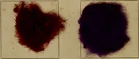 An illustration from The American dyer, (enlarged and revised) : a practical treatise on the coloring of wool, cotton, yarn and cloth, also, calico-printing ... containing seventy samples of wool, cotton yarn, and cloth; sample of black on raw cotton, colored at one operation; embracing, in all, over four hundred recipes (1878)