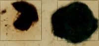 An illustration from The American dyer, (enlarged and revised) : a practical treatise on the coloring of wool, cotton, yarn and cloth, also, calico-printing ... containing seventy samples of wool, cotton yarn, and cloth; sample of black on raw cotton, colored at one operation; embracing, in all, over four hundred recipes (1878)