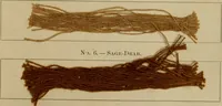 An illustration from The American dyer, (enlarged and revised) : a practical treatise on the coloring of wool, cotton, yarn and cloth, also, calico-printing ... containing seventy samples of wool, cotton yarn, and cloth; sample of black on raw cotton, colored at one operation; embracing, in all, over four hundred recipes (1878)