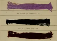 An illustration from The American dyer, (enlarged and revised) : a practical treatise on the coloring of wool, cotton, yarn and cloth, also, calico-printing ... containing seventy samples of wool, cotton yarn, and cloth; sample of black on raw cotton, colored at one operation; embracing, in all, over four hundred recipes (1878)