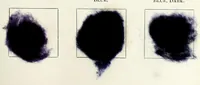 An illustration from The American dyer, (enlarged and revised) : a practical treatise on the coloring of wool, cotton, yarn and cloth, also, calico-printing ... containing seventy samples of wool, cotton yarn, and cloth; sample of black on raw cotton, colored at one operation; embracing, in all, over four hundred recipes (1878)