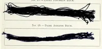 An illustration from The American dyer, (enlarged and revised) : a practical treatise on the coloring of wool, cotton, yarn and cloth, also, calico-printing ... containing seventy samples of wool, cotton yarn, and cloth; sample of black on raw cotton, colored at one operation; embracing, in all, over four hundred recipes (1878)