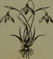 An illustration from The American dyer : a practical treatise on the coloring of wool, cotton, yarn & cloth.. (1873)