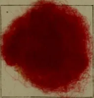 An illustration from The American dyer : a practical treatise on the coloring of wool, cotton, yarn & cloth.. (1873)