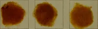 Picture 8 of 41 from The American dyer : a practical treatise on the coloring of wool, cotton, yarn & cloth.. (1873), leaf 167