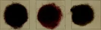 Picture 10 of 41 from The American dyer : a practical treatise on the coloring of wool, cotton, yarn & cloth.. (1873), leaf 170