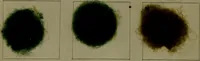 Picture 11 of 41 from The American dyer : a practical treatise on the coloring of wool, cotton, yarn & cloth.. (1873), leaf 171