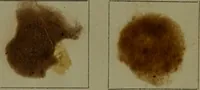 An illustration from The American dyer : a practical treatise on the coloring of wool, cotton, yarn & cloth.. (1873)