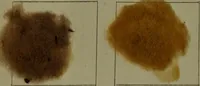 An illustration from The American dyer : a practical treatise on the coloring of wool, cotton, yarn & cloth.. (1873)