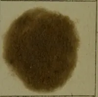 An illustration from The American dyer : a practical treatise on the coloring of wool, cotton, yarn & cloth.. (1873)