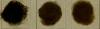 Picture 17 of 41 from The American dyer : a practical treatise on the coloring of wool, cotton, yarn & cloth.. (1873), leaf 174