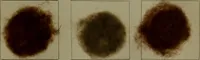 An illustration from The American dyer : a practical treatise on the coloring of wool, cotton, yarn & cloth.. (1873)