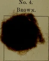 An illustration from The American dyer : a practical treatise on the coloring of wool, cotton, yarn & cloth.. (1873)