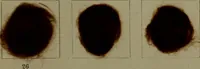 An illustration from The American dyer : a practical treatise on the coloring of wool, cotton, yarn & cloth.. (1873)