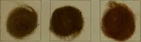 Picture 35 of 41 from The American dyer : a practical treatise on the coloring of wool, cotton, yarn & cloth.. (1873), leaf 216