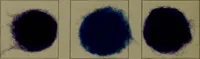 Picture 39 of 41 from The American dyer : a practical treatise on the coloring of wool, cotton, yarn & cloth.. (1873), leaf 235
