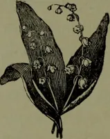An illustration from The American dyer : a practical treatise on the coloring of wool, cotton, yarn & cloth.. (1873)