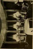 Picture 68 of 274 from American estates and gardens (1904), leaf 106