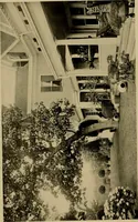 An illustration from American estates and gardens (1904)