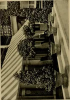 An illustration from American estates and gardens (1904)