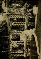 Picture 169 of 274 from American estates and gardens (1904), leaf 226