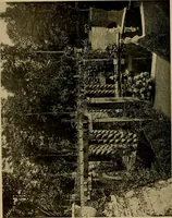 An illustration from American estates and gardens (1904)