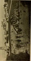 An illustration from American estates and gardens (1904)