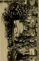 Picture 211 of 274 from American estates and gardens (1904), leaf 275